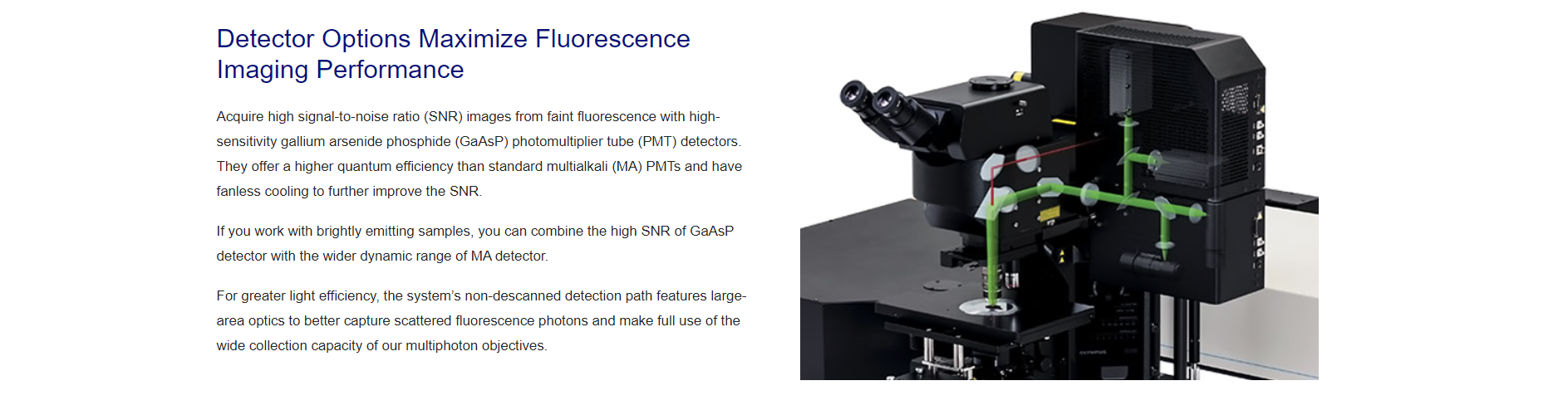 双光子显微镜(图13)