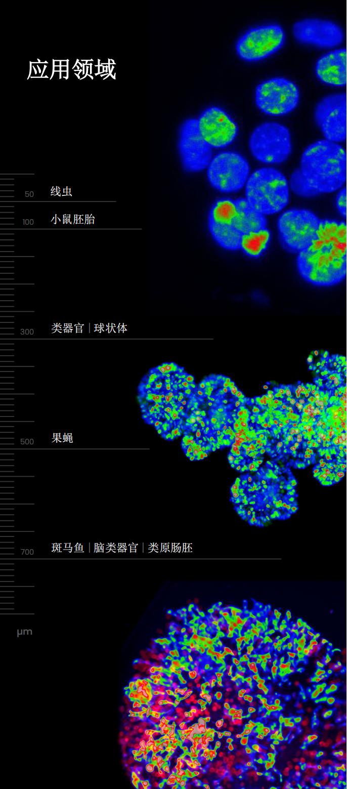 高通量活细胞高分辨光片显微镜(图5)